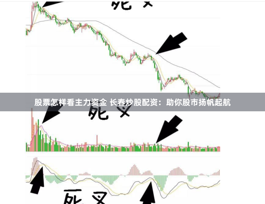 股票怎样看主力资金 长春炒股配资：助你股市扬帆起航