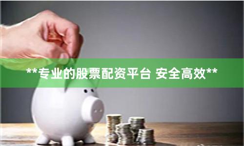 **专业的股票配资平台 安全高效**